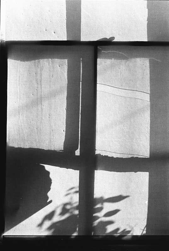 artur lavine, shadows on window shade
