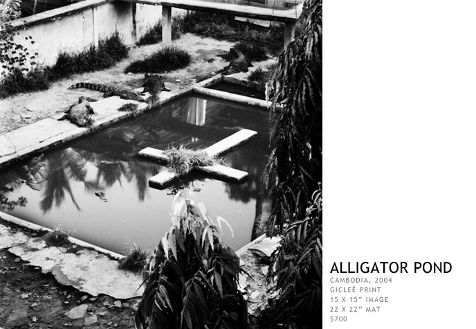 Alligator Pond